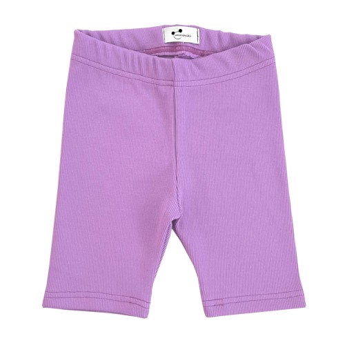 Kolarki prążkowane krokus