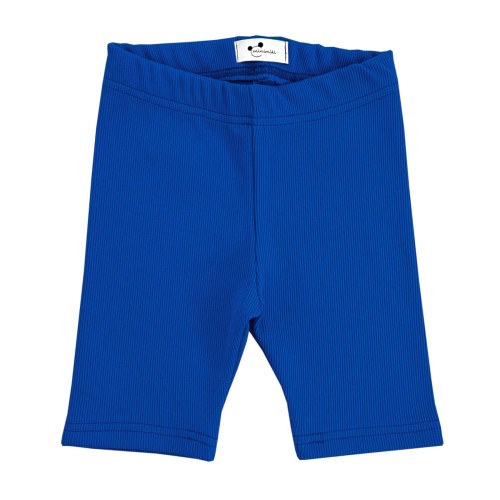 Kolarki prążkowane chabrowe