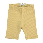 Kolarki prążkowane sunny