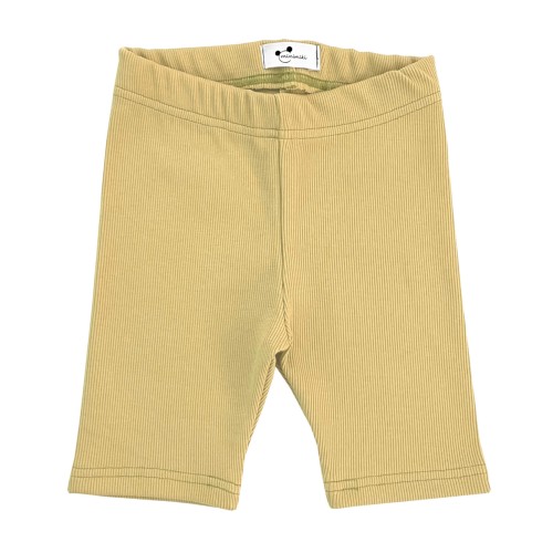 Kolarki prążkowane sunny